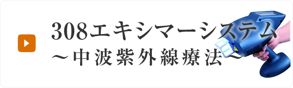 308エキシマ―システム